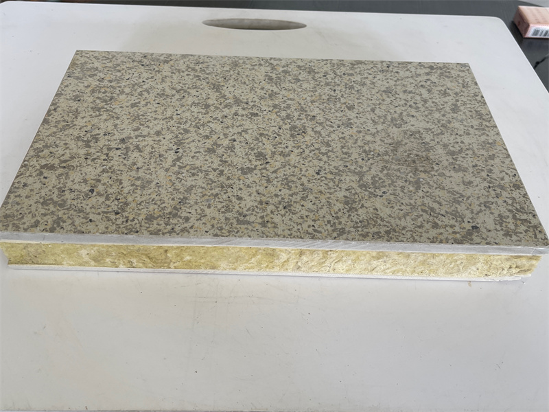 ���ܰ���ǽ����һ�廯��